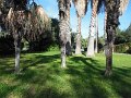 UTRILLES 2014 074